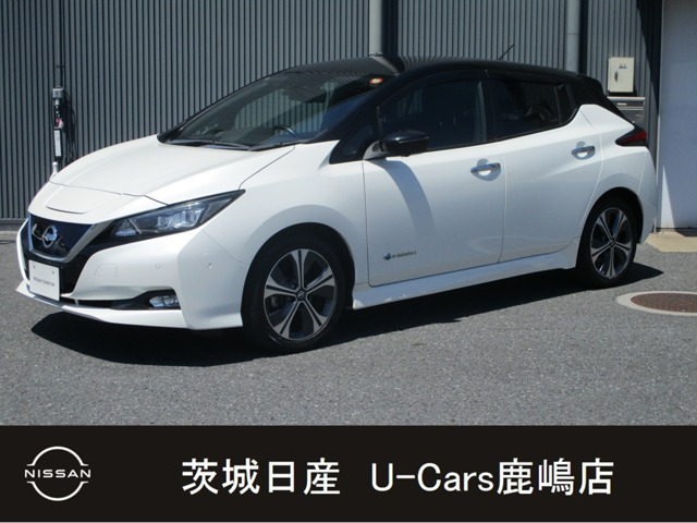 リーフ G 