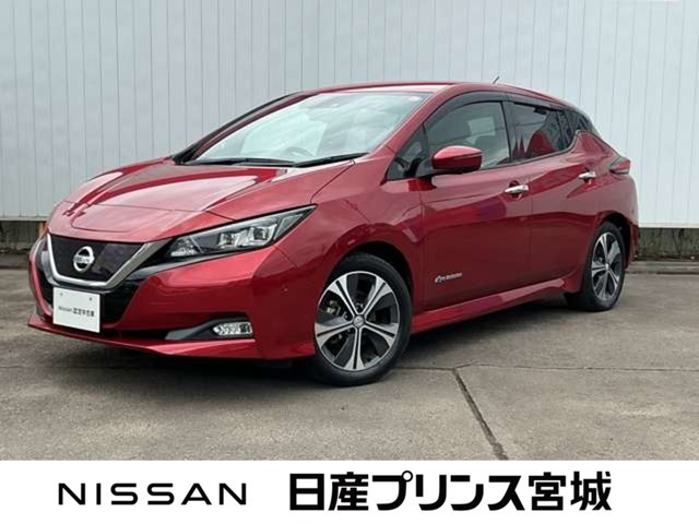 リーフ X 