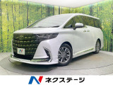 左右独立ムーンルフ モデリスタフルエアロ 両側電動ドア 後席モニター