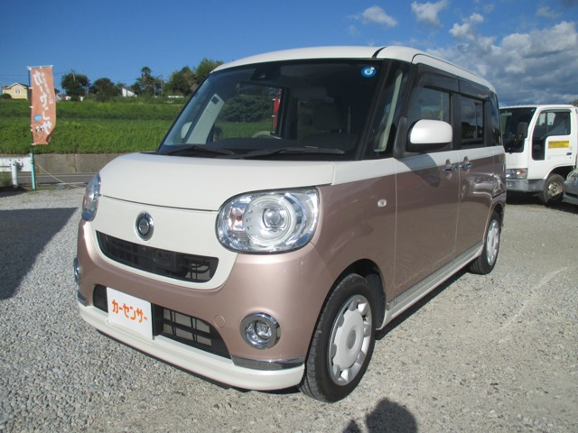 ムーヴキャンバス G メイクアップ SAII 