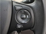 ◆アダプティブクルーズコントロール◆予め設定した車速内でクルマが自動的に加減速。前走車との適切な車間距離を維持しながら追従走行します。【LKAS】車線維持支援システムでステアリング操作を支援。