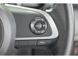 設定した速度内で、前方車両との距離を保ちながら加減速をしてくれます。高速道路での長距離移動が楽になりますよ♪