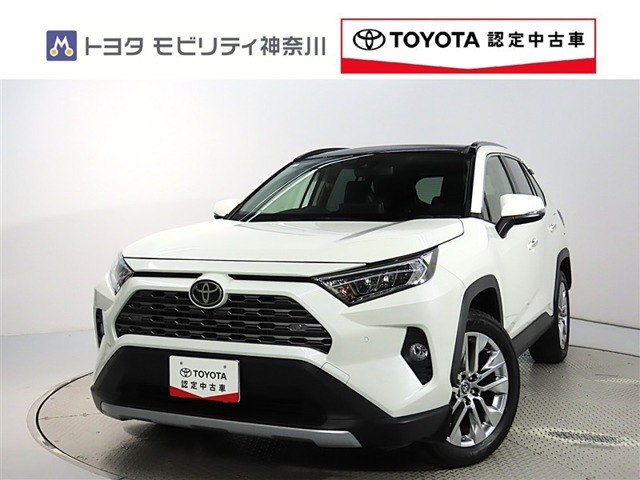 RAV4 2.0 G Zパッケージ 4WD