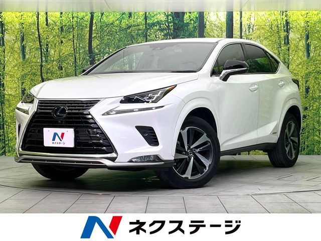 NX 300h スパイス&シック