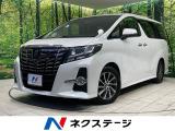 両側電動ドア 後席モニター 8インチナビ バックカメラ レーダークルーズ