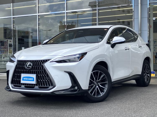 NX 250 バージョンL 4WD