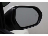 BMS付いてます。左右後方を走っている車両をミラーをキャッチしてくれます。