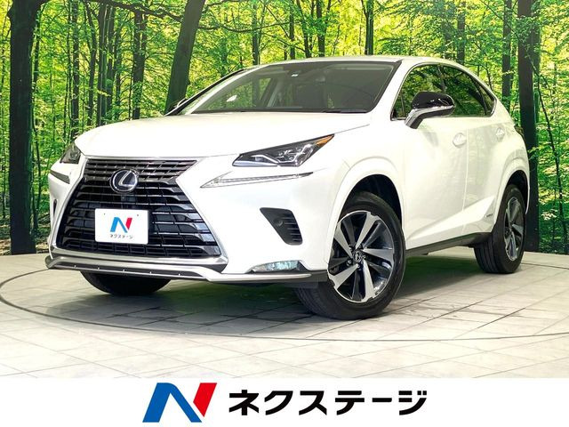 NX 300h スパイス&シック