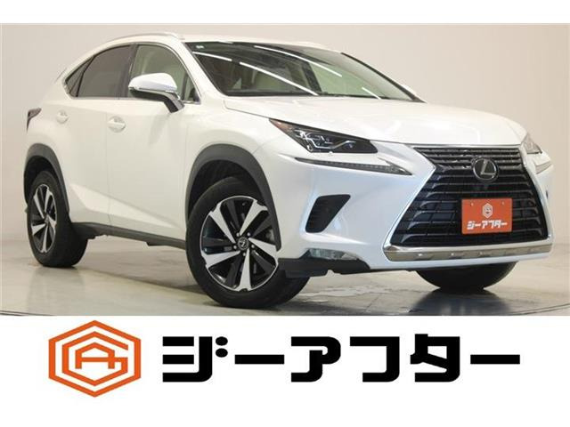NX 300 Iパッケージ ワンオーナー 革シート 禁煙車