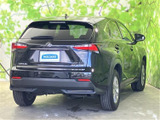 NX 300h Iパッケージ 