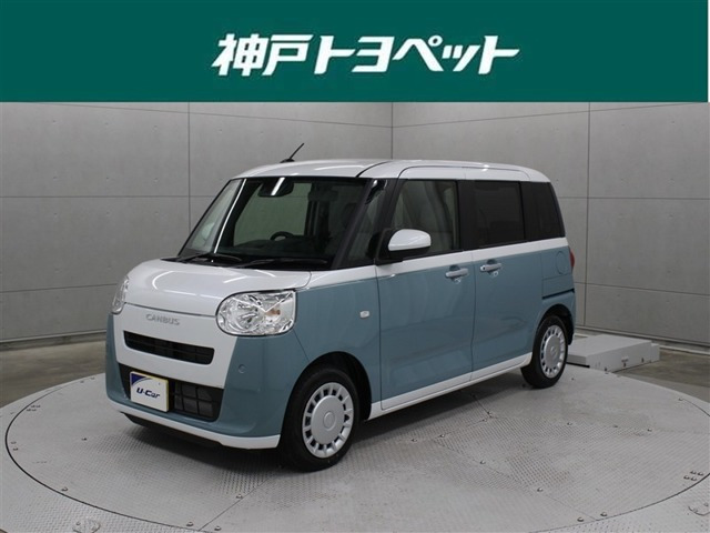 ムーヴキャンバス  ストライプス X
