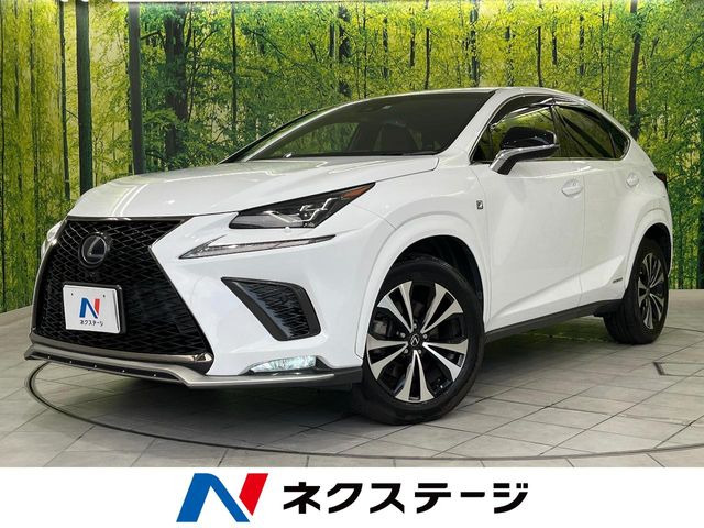 NX 300h Fスポーツ