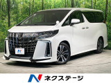 レーダークルーズ BSM 両側電動ドア 電動リアゲート パワーシート