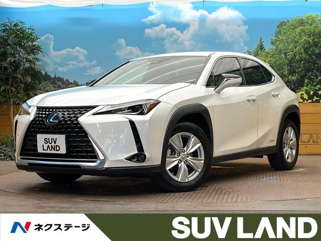 UX 250h バージョンC