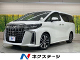 両側電動ドア 純正10型ナビ 後席モニター バックカメラ 衝突軽減