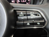 前車追従機能付きのレーダークルーズを備えています。自動で車間距離を調整してくれますので、アクセル操作の疲労軽減に繋がります。特に長距離を帰省される方にはお奨めですよ。