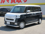 ムーヴキャンバス  ストライプス G