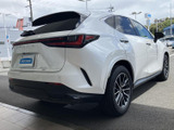 NX 250 バージョンL 4WD 