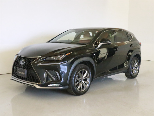 NX 300h Fスポーツ 