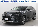 NX300 Iパッケージが入庫しました。
