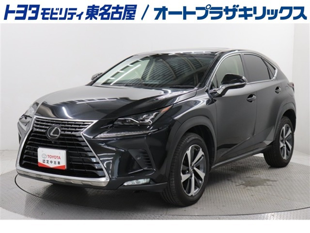 NX 300 Iパッケージ