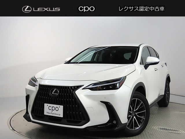 NX