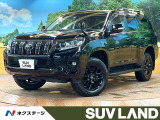 禁煙車 7人乗り サンルーフ BIGX9型ナビ バックカメラ 茶革シート
