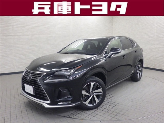 NX 300h スパイス&シック