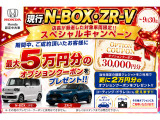 N-BOXカスタム ターボ コーディネートスタイル 2トーン 