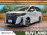 サンルーフ モデリスタエアロ 両側電動ドア BIG-X11型ナビ