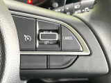 【クルーズコントロール】高速道路もラクラク走行。アクセルを離しても一定速度で走行ができ、長距離運転時の負担を軽減!加速・減速も簡単なスイッチ操作で調整できます。