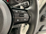 クルーズコントロールを装備しています。高速道路などで一定の速度で走ってくれるので運転が楽ですよ!速度を設定できますので、スピードの出しすぎにも注意できます。