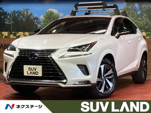 NX 300h スパイス&シック