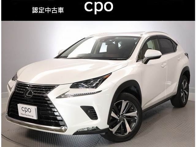 NX 300 Iパッケージ 