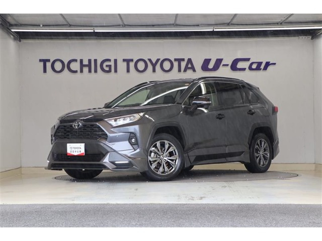 RAV4 2.0 X 