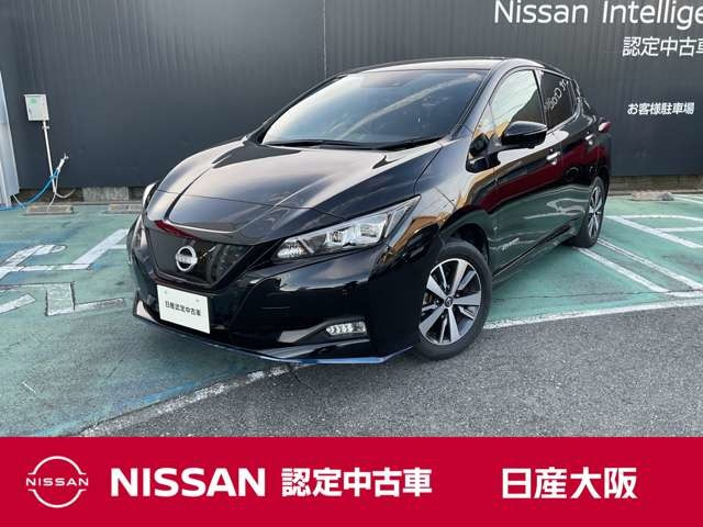 リーフ e+ X