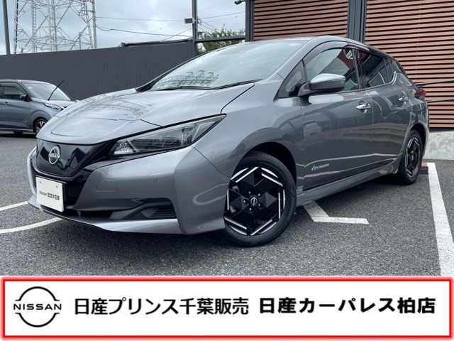 リーフ X