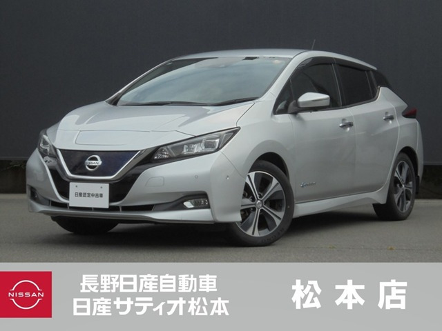 リーフ G 