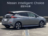 リーフ G 