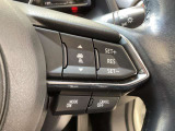 ステアリングスイッチで、先行車に自動追従するアダプティブクルーズコントロールが作動可能。設定した車速内での車間距離を自動で調整・維持。高速道路の渋滞時もアクセル・ブレーキ操作から解放されます。