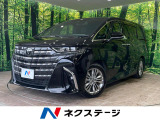 左右独立ムーンルーフ 後席モニター 両側電動スライドドア