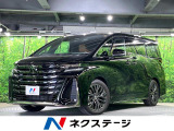 ガラスルーフ 両側電動ドア 後席モニター 全周囲カメラ 100V電源 衝