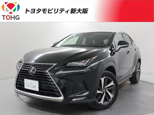 NX 300 Iパッケージ