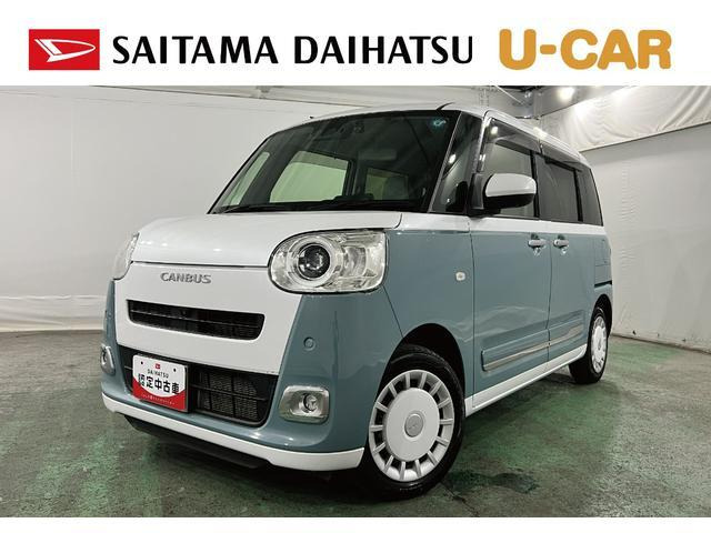 ムーヴキャンバス  ストライプス G