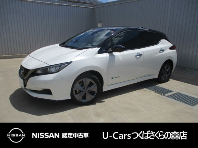 リーフ e+ アーバンクロム