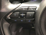 【ステアリングスイッチ】左です。ステアリングから手を離さず、運転に集中したまま手元でオーディオ操作等が出来ます。