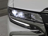 3眼LEDヘッドランプ(スモークメッキ+ブラックエクステンション)、LEDシーケンシャルターンランプ(フロント・リヤ)、LEDコーナリングランプが特別装備されています。