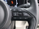 レーダークルーズコントロール作動時に車線維持に必要な運転操作の支援を行う「レーントレーシングアシスト(LTA)」を搭載しています。