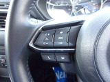 オーディオの音量やチャンネル操作ができるスイッチが、ハンドルに付いています。運転中でも、操作が行えて非常に安全・便利です!