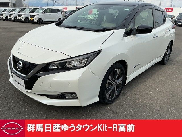 リーフ X
